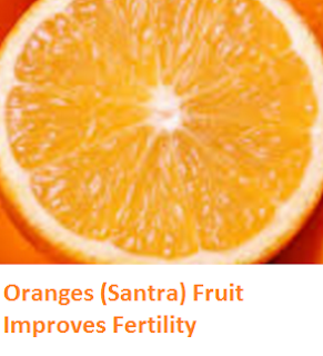 Health Benefits of Oranges (Santra) Fruit Improves Fertility Health Benefits of Oranges (Santra) Fruit Improves Fertility