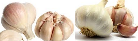 Best effective home remedies to get rid of cough Best effective home remedies to get rid of cough