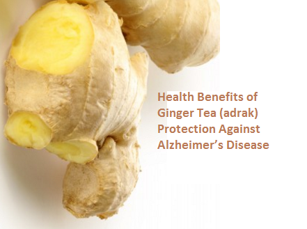 Health Benefits of Ginger Tea (adrak) Protection Against Alzheimer’s Disease Health Benefits of Ginger Tea (adrak) Protection Against Alzheimer’s Disease