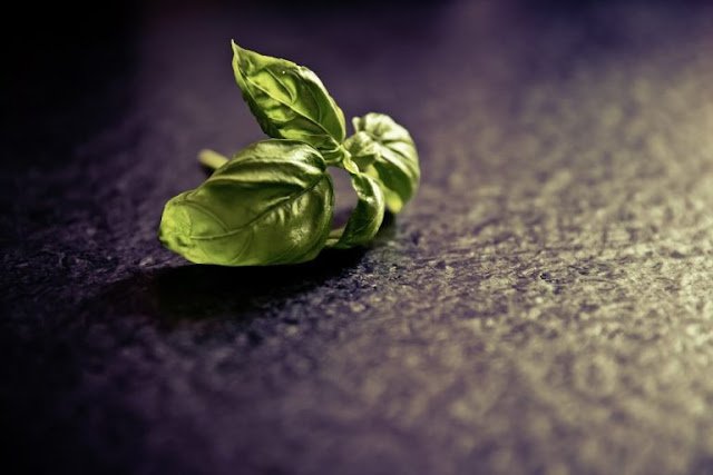Tulsi/Basil Leaves Benefits for Health, Skin and Hair Tulsi/Basil Leaves Benefits for Health, Skin and Hair