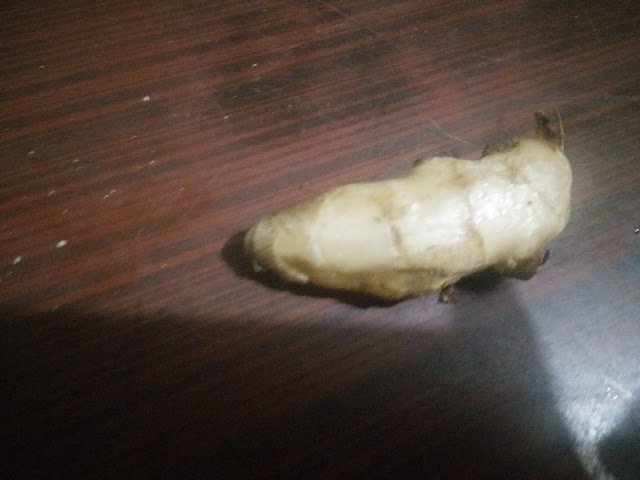 Health Benefits of ginger -  Reduces Testicles Inflammation