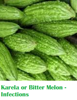 Health Benefits Of Karela or Bitter Melon - Infections