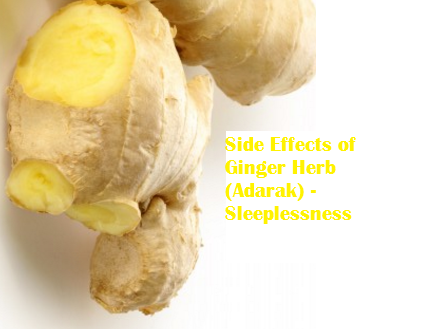 Side Effects of Ginger Herb (Adarak) - Sleeplessness Side Effects of Ginger Herb (Adarak) - Sleeplessness