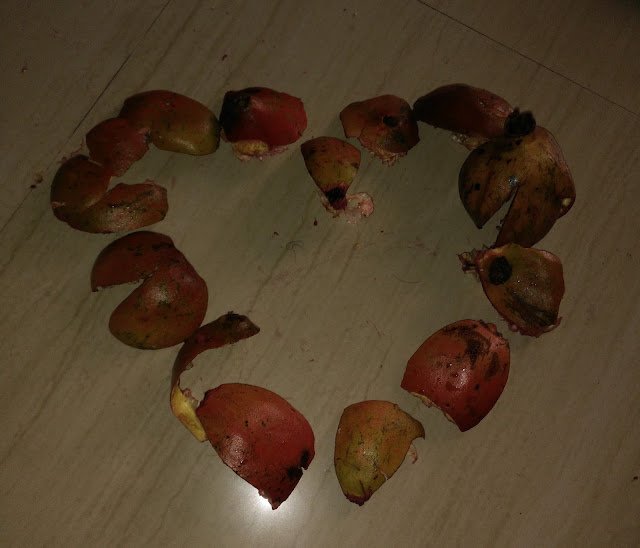 Photo / Picture of Pomegranate Fruit Photo / Picture of Pomegranate Fruit