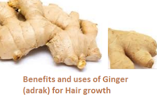 Benefits and uses of Ginger (adrak) for Hair growth Benefits and uses of Ginger (adrak) for Hair growth