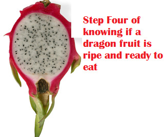 Step Four of knowing if a dragon fruit is ripe and ready to eat Step Four of knowing if a dragon fruit is ripe and ready to eat
