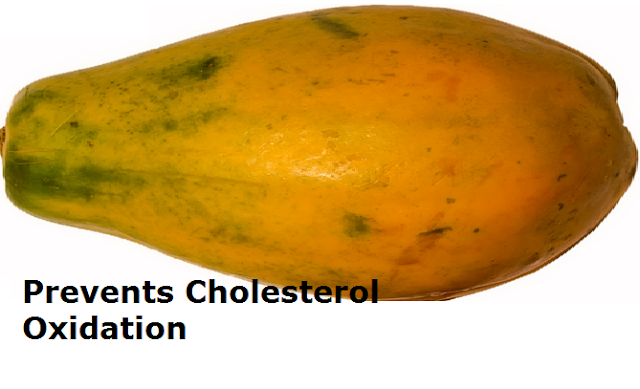 Health Benefits of Papaya - Paw paw Prevents Cholesterol Oxidation Health Benefits of Papaya - Paw paw Prevents Cholesterol Oxidation