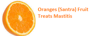 Health Benefits of Oranges (Santra)Treats Mastitis Health Benefits of Oranges (Santra) Fruit Treats Mastitis
