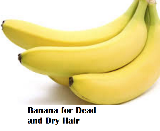 Health Benefits of Banana fruit - Banana for Dead and Dry Hair Health Benefits of Banana fruit - Banana for Dead and Dry Hair
