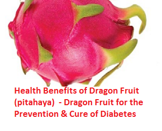 Health Benefits of Dragon Fruit (pitahaya)  - Dragon Fruit for the Prevention & Cure of Diabetes