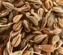 Aniseeds meaning in English, hindi, telugu,tamil,marathi,Gujrathi,Malayalam,Kannada Aniseeds meaning in English, hindi, telugu,tamil,marathi,Gujrathi,Malayalam,Kannada