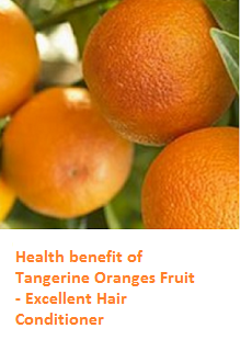 Tangerine Oranges (Fruit) - Excellent Hair Conditioner Tangerine Oranges (Fruit) - Excellent Hair Conditioner