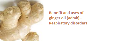 Benefit and uses of ginger oil (adrak) -  Respiratory disorders