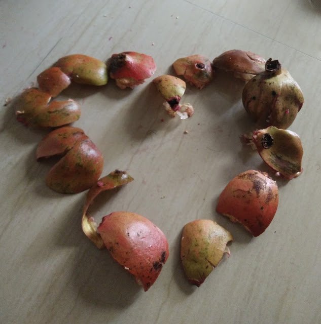 Photo / Picture of Pomegranate Fruit Photo / Picture of Pomegranate Fruit