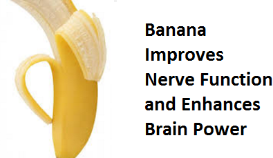 Bananas Improves Nerve Function and Enhances Brain Power Bananas Improves Nerve Function and Enhances Brain Power