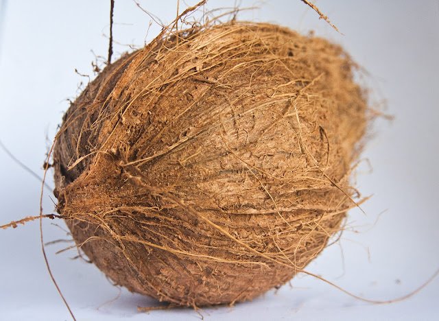 Nutrition Facts of Dried Coconut, How to Dry Coconut Nutrition Facts of Dried Coconut, How to Dry Coconut