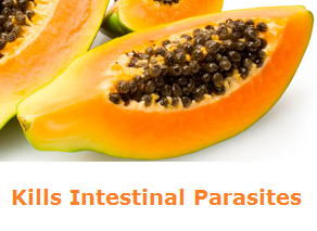 Health Benefits of Papaya - Paw paw Kills Intestinal Parasites Health Benefits of Papaya - Paw paw Kills Intestinal Parasites