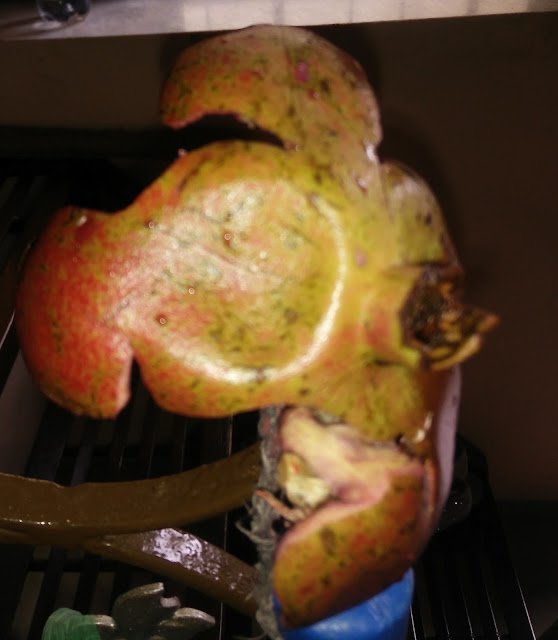 Photo / Picture of Pomegranate Fruit Photo / Picture of Pomegranate Fruit