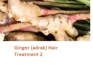 Ginger (adrak) Hair Treatment 2 Ginger (adrak) Hair Treatment 2