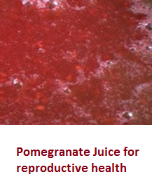 Pomegranate Juice for reproductive health Pomegranate Juice for reproductive health