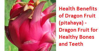 Health Benefits of Dragon Fruit (pitahaya) - Dragon Fruit for Healthy Bones and Teeth