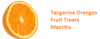 Health Benefits of Tangerine Oranges - Treats Mastitis Health Benefits of Tangerine Oranges - Treats Mastitis