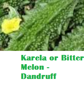 Health Benefits Of Karela or Bitter Melon - Dandruff