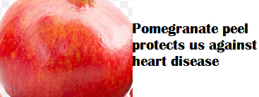 Pomegranate peel protects us against heart disease Pomegranate peel protects us against heart disease