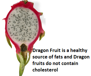 Dragon Fruit is a healthy source of fats and Dragon fruits do not contain cholesterol Dragon Fruit is a healthy source of fats and Dragon fruits do not contain cholesterol