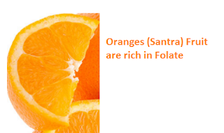 Health Benefits of Oranges (Santra) are rich in Folate Health Benefits of Oranges (Santra) are rich in Folate