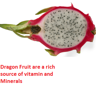 Dragon Fruit are a rich source of vitamin and Minerals Dragon Fruit are a rich source of vitamin and Minerals