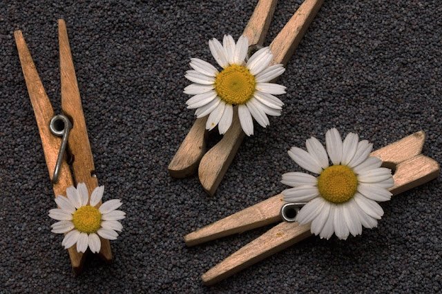 Poppy seeds/Khus khus benefits for skin Poppy seeds/Khus khus benefits for skin