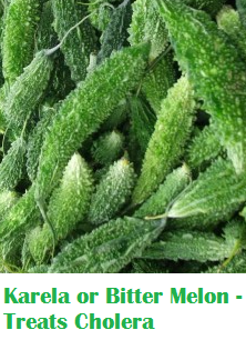 Health Benefits Of Karela or Bitter Melon - Treats Cholera