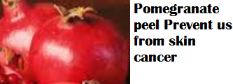 Pomegranate peel Prevent us from skin cancer Pomegranate peel Prevent us from skin cancer