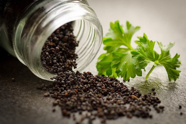 Poppy seed/Khus khus benefits for health,skin,hair Poppy seed/Khus khus benefits for health,skin,hair