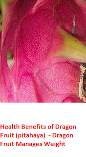 Health Benefits of Dragon Fruit (pitahaya)  - Dragon Fruit Manages Weight