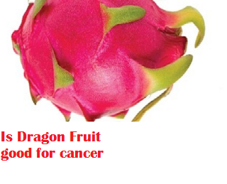 Is Dragon Fruit good for cancer Is Dragon Fruit good for cancer