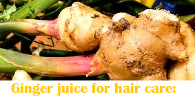 Health benefits of Ginger Juice - Ginger juice for hair care Health benefits of Ginger Juice - Ginger juice for hair care
