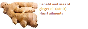 Benefit and uses of ginger oil (adrak) -  Heart ailments