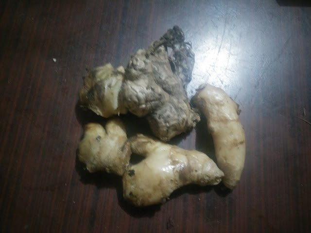  Health Benefits of ginger -  Relief From Heartburn