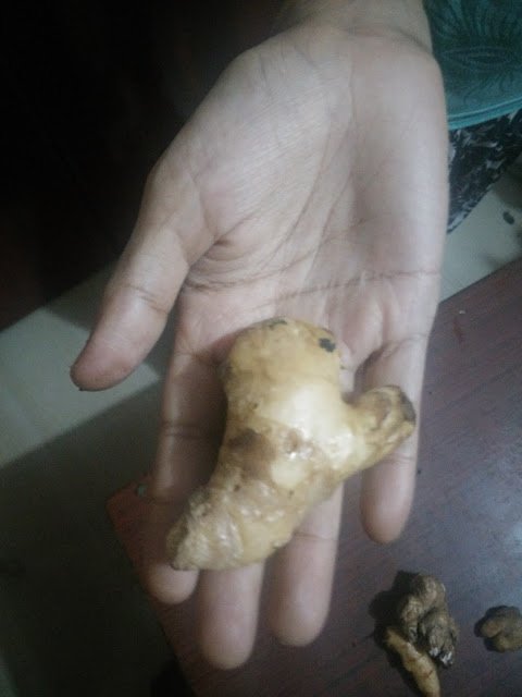 In different form ginger is available