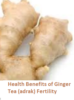 Health Benefits of Ginger Tea (adrak) Fertility Health Benefits of Ginger Tea (adrak) Fertility