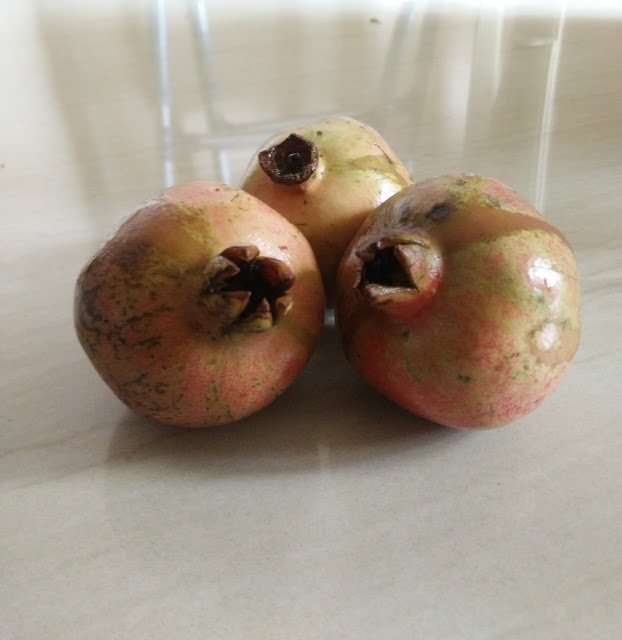 Photo / Picture of Pomegranate Fruit Photo / Picture of Pomegranate Fruit