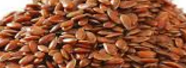 Flax Seeds Flax Seeds