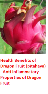 Health Benefits of Dragon Fruit (pitahaya)  - Anti Inflammatory Properties of Dragon Fruit
