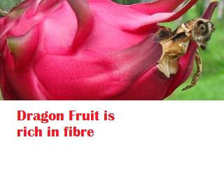Dragon Fruit is rich in fibre Dragon Fruit is rich in fibre