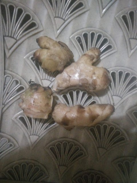 Health Benefits of ginger -  Anti-Flatulence