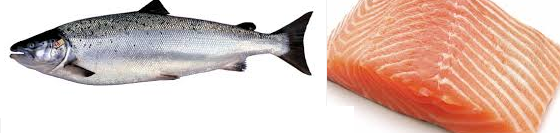 Food Diet tips for healthy skin salmon for healthy glowing skin Food Diet tips for healthy skin salmon for healthy glowing skin