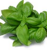 Best effective home remedies to get rid of cough Best effective home remedies to get rid of cough