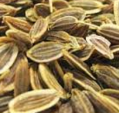 Dill Seeds meaning in English, hindi, telugu,tamil,marathi,Gujrathi,Malayalam,Kannada Dill Seeds meaning in English, hindi, telugu,tamil,marathi,Gujrathi,Malayalam,Kannada